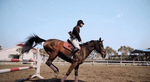 1631845754209392.png image.png